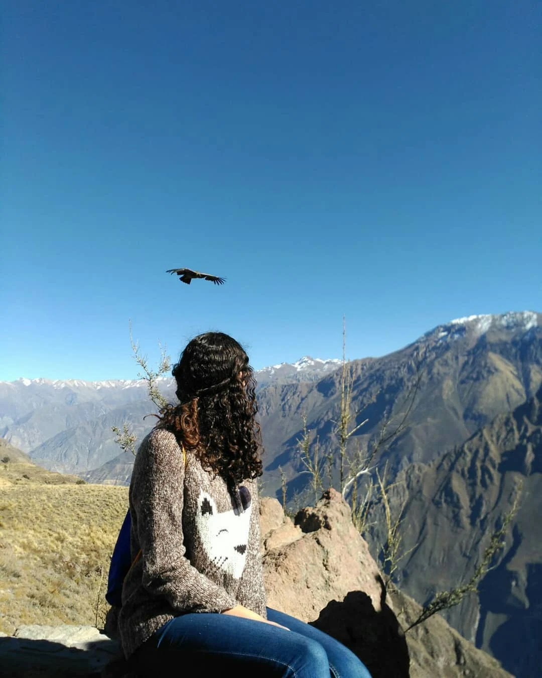 colca-canyon-2-days-portada (1)