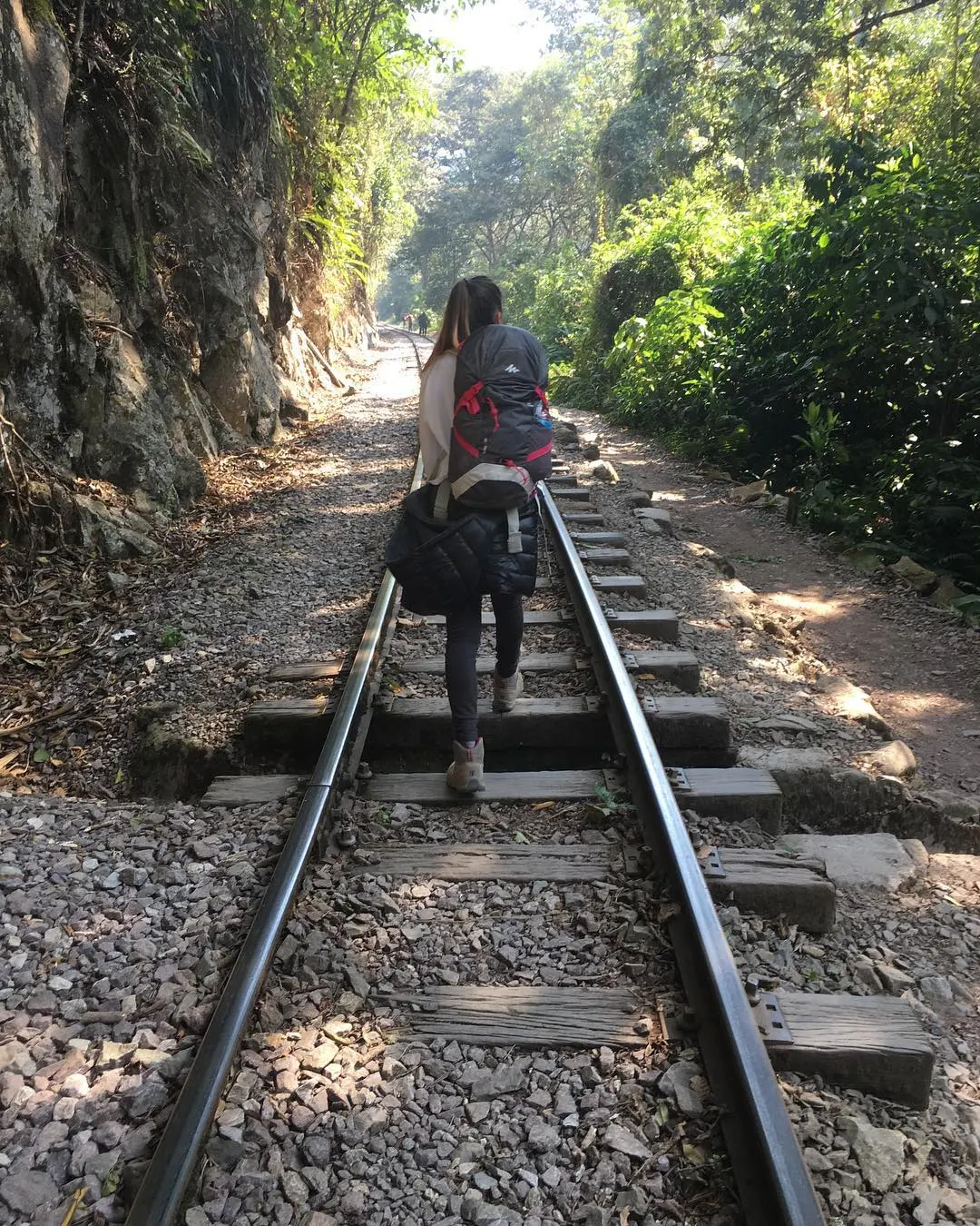 inka-jungle-express-a-machu-picchu-portada