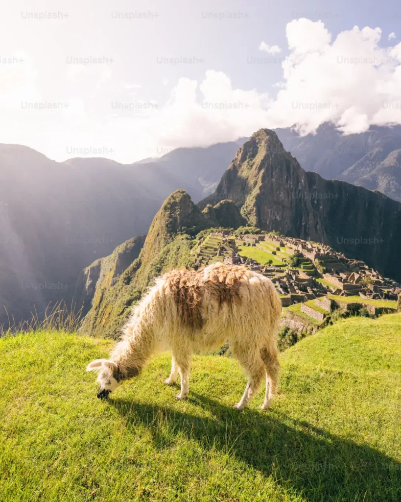 salkantay-trek-to-machu-picchu-4-days-portada