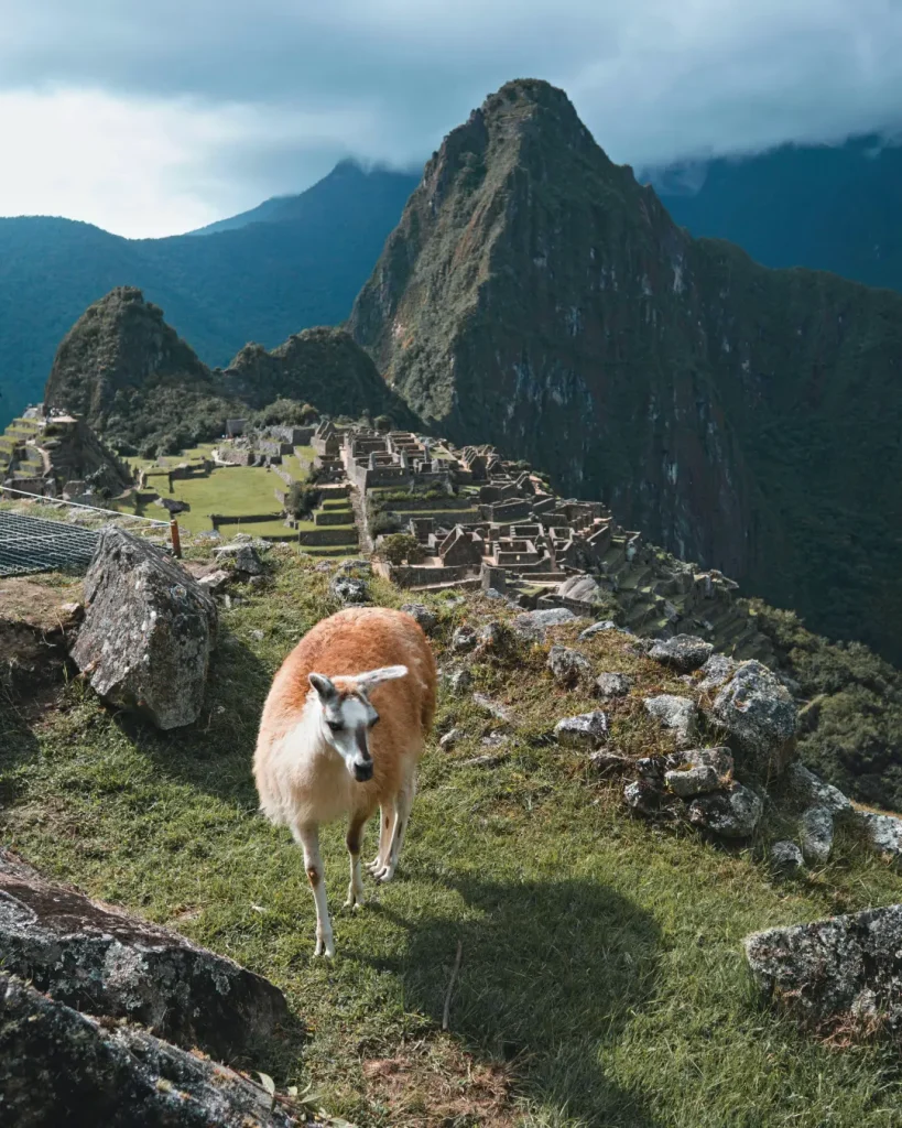 salkantay-trek-to-machu-picchu-5-days-portada