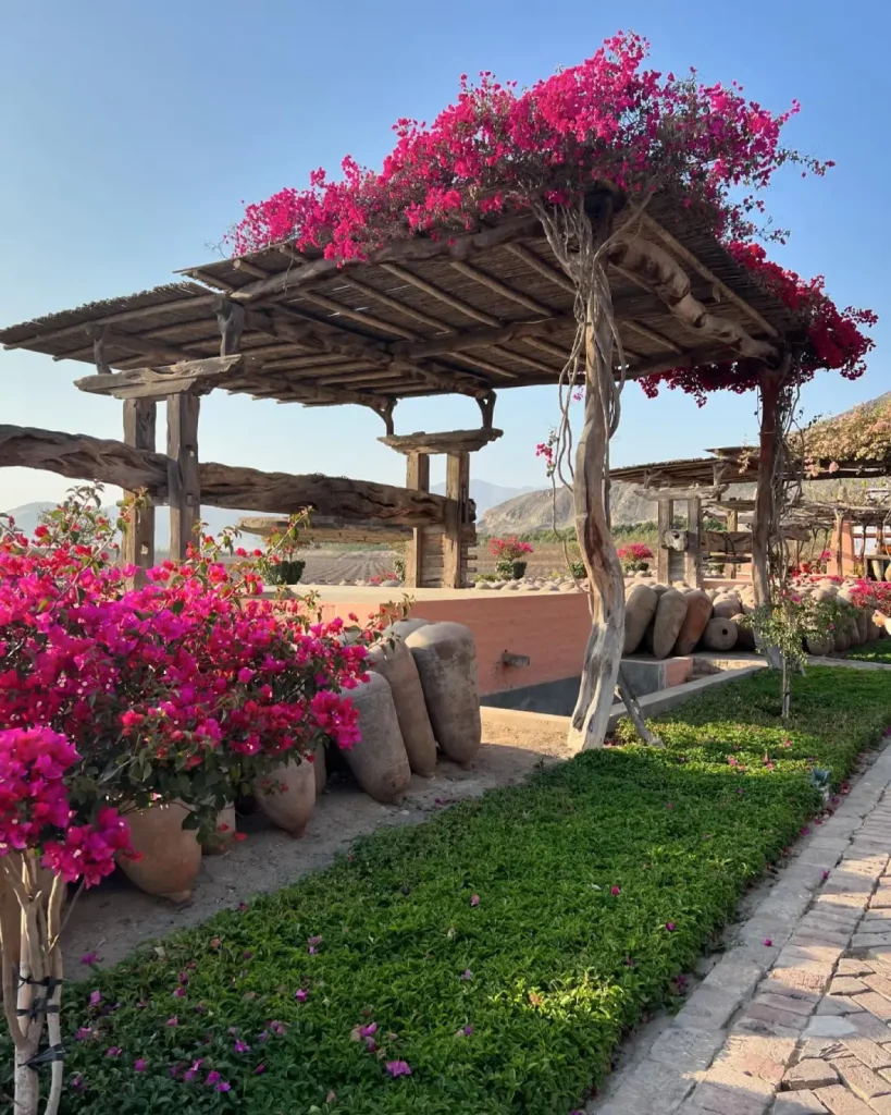 tour-ica-wine-and-pisco-route-portada